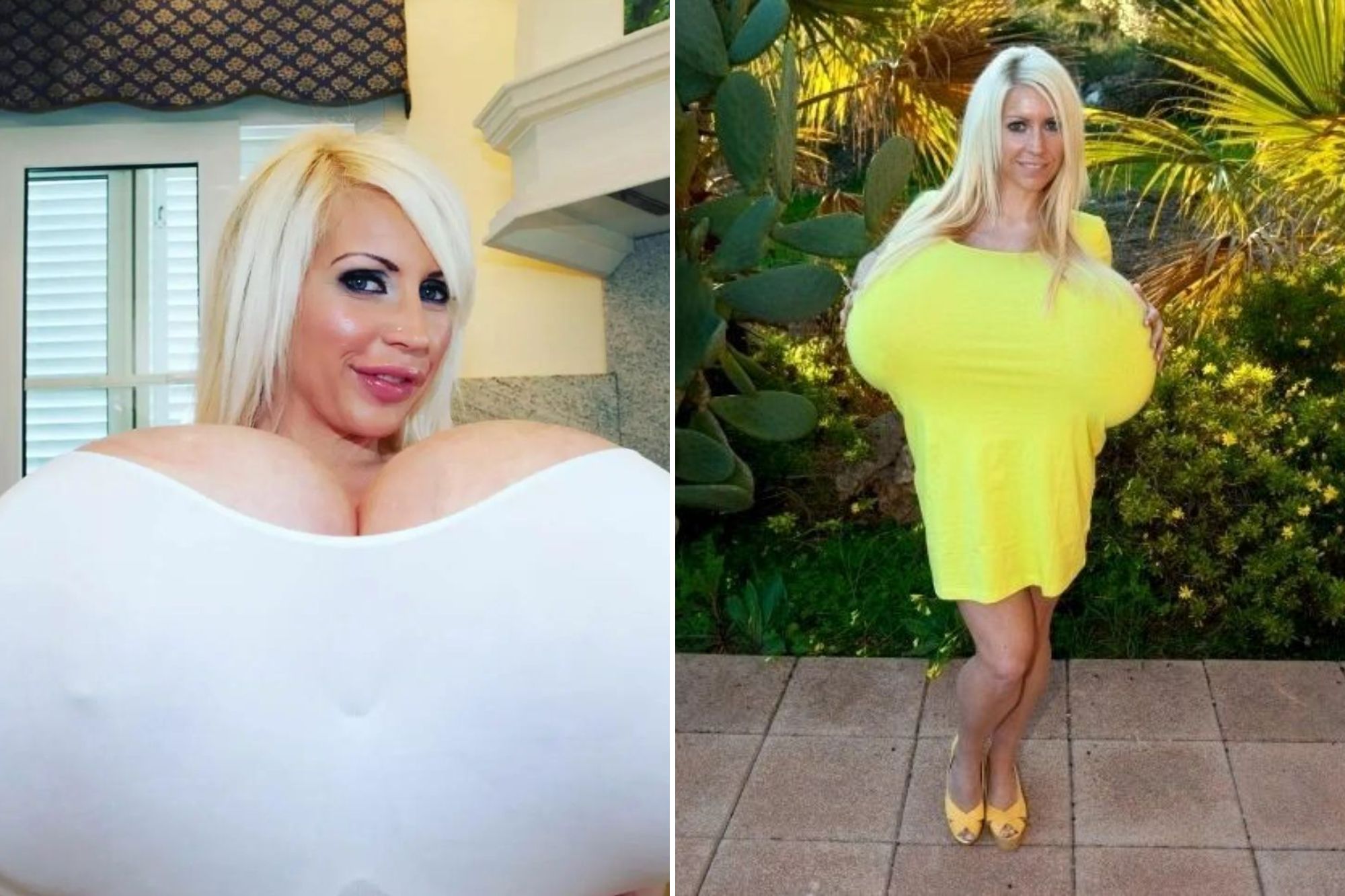 brenda tiffany add largest breasts in porn image