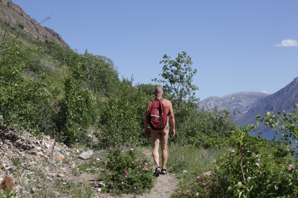 batch zerotwo add naked hikers photo