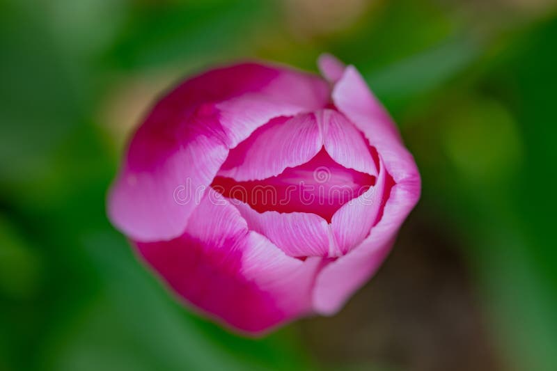 becky balandin add vulva close up photo