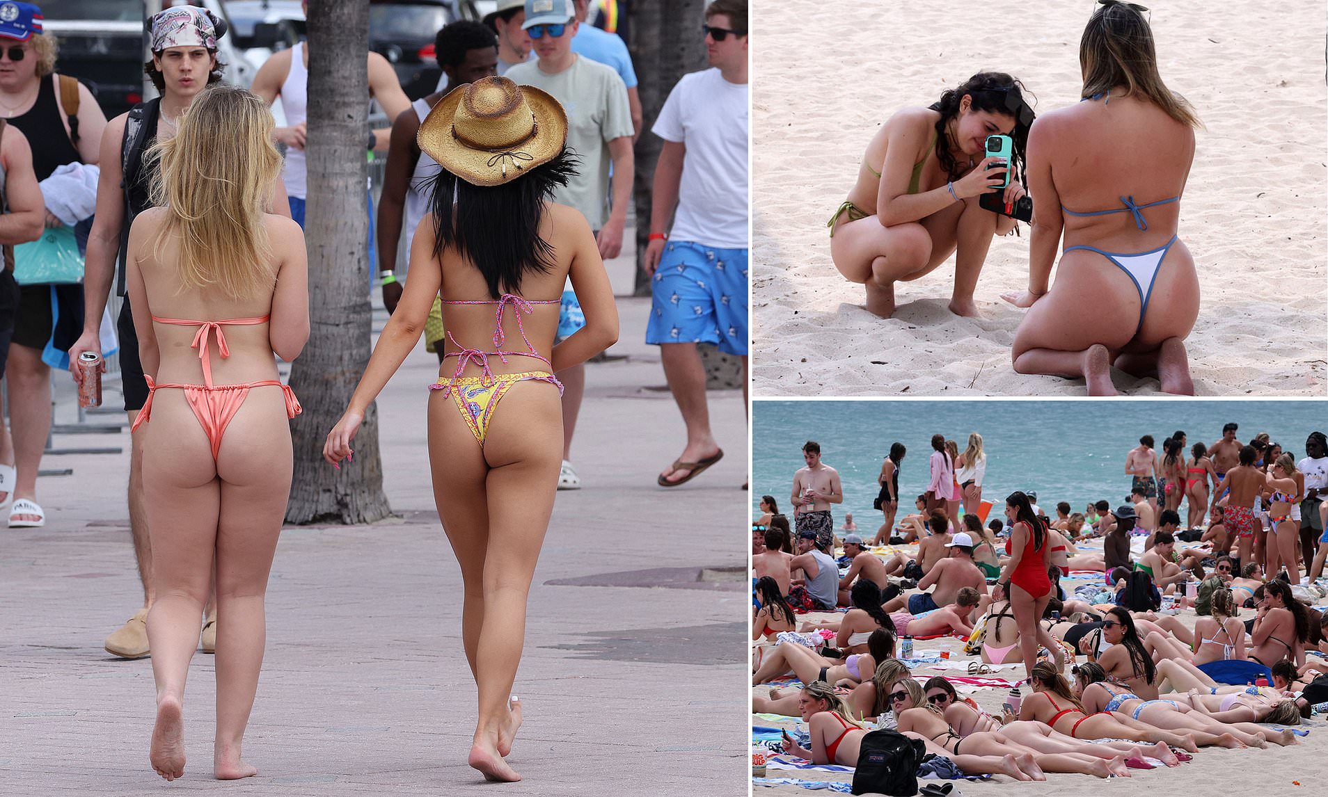 cassidy epps add nude beach in ft lauderdale image