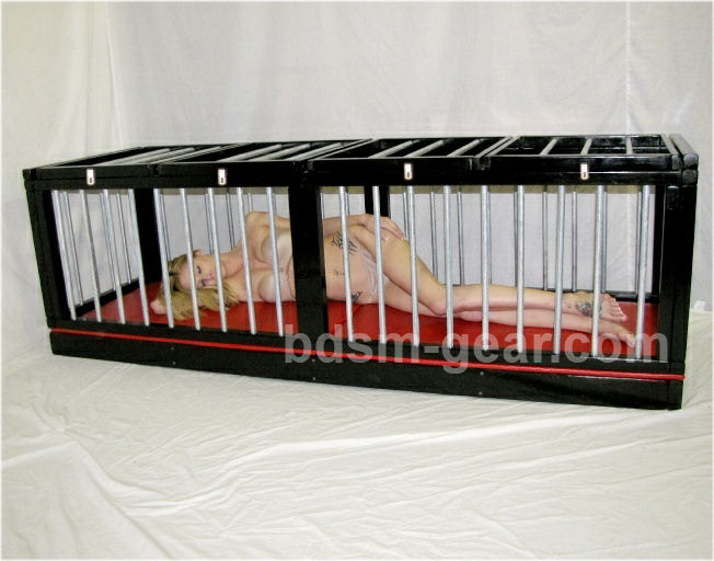 connie wolf add the cage bdsm image