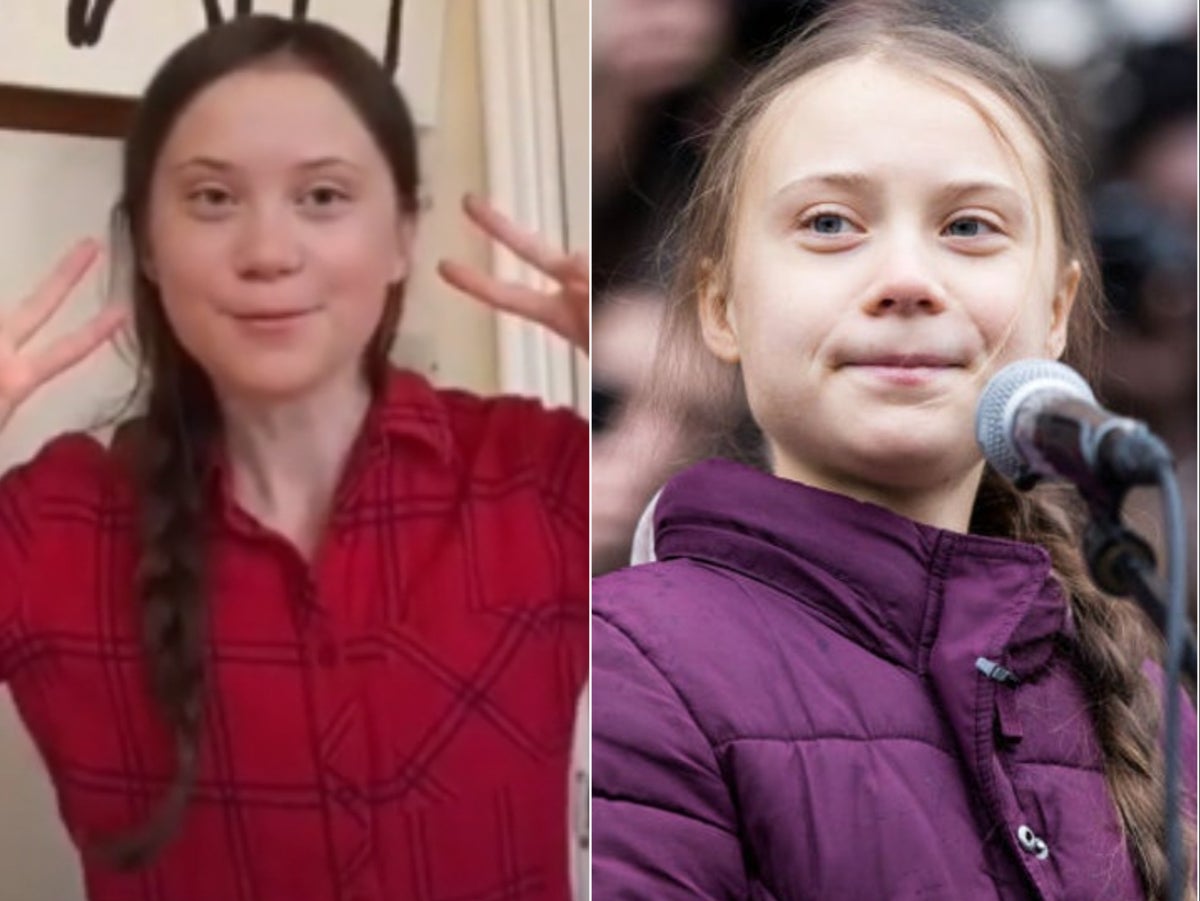 arlene alves add greta thunberg deepfake photo