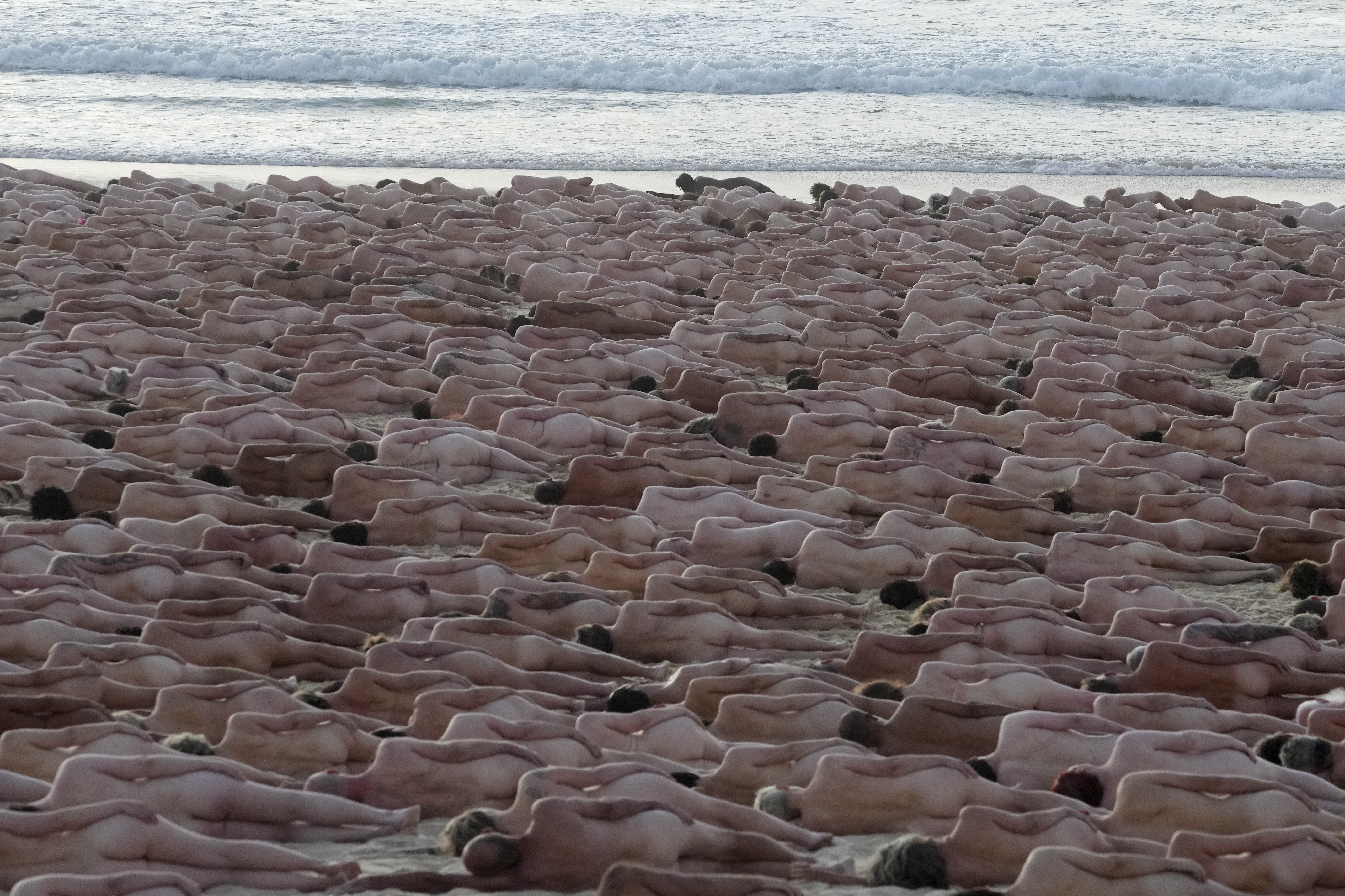 barbara carroll add nude people on a beach image