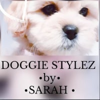 bhumi gandhi add doggie stylez photo