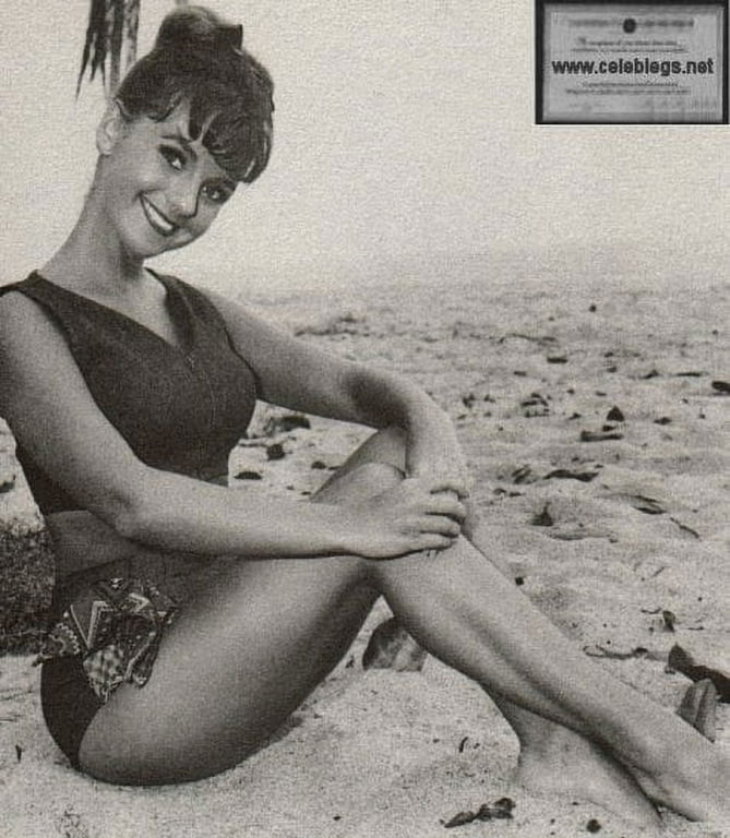 denver rice add dawn wells in a bikini image