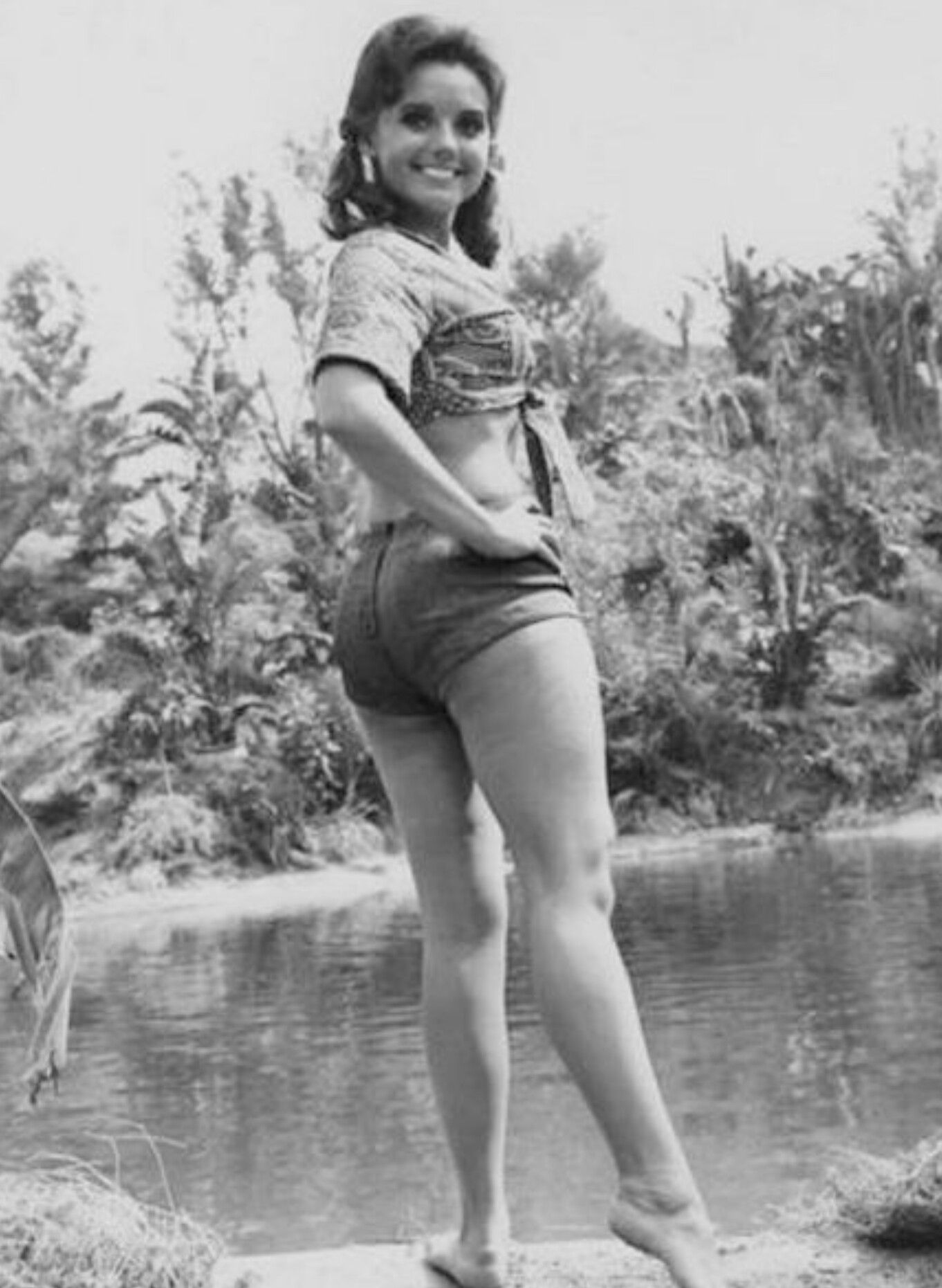 chad winslow add dawn wells in a bikini photo