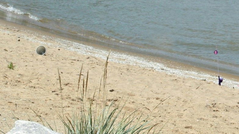 cheree mccoy add hidden cam in the beach photo