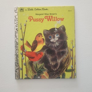 dewan smit add little pussy stories photo