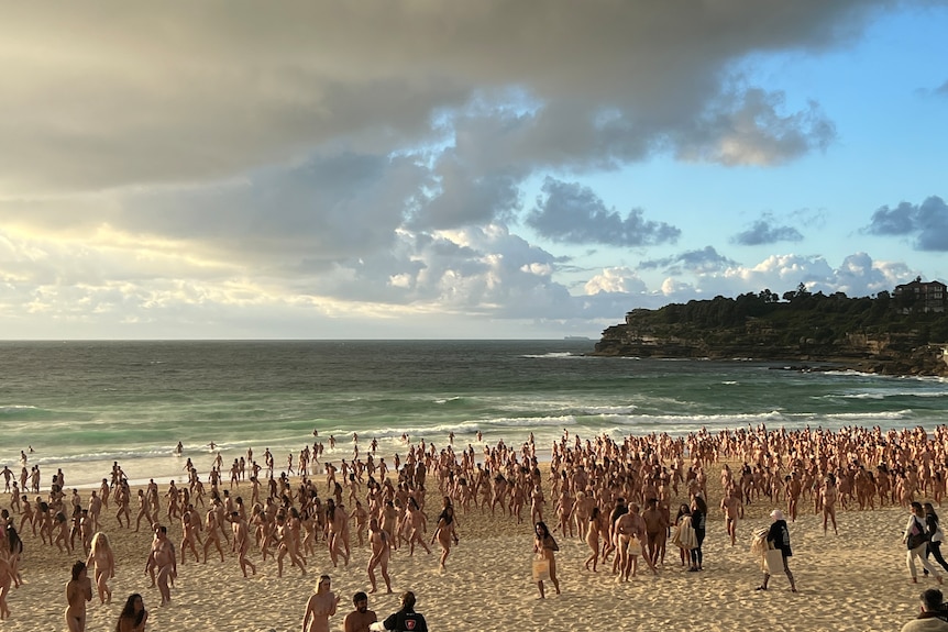 david haapala add nude people on a beach photo