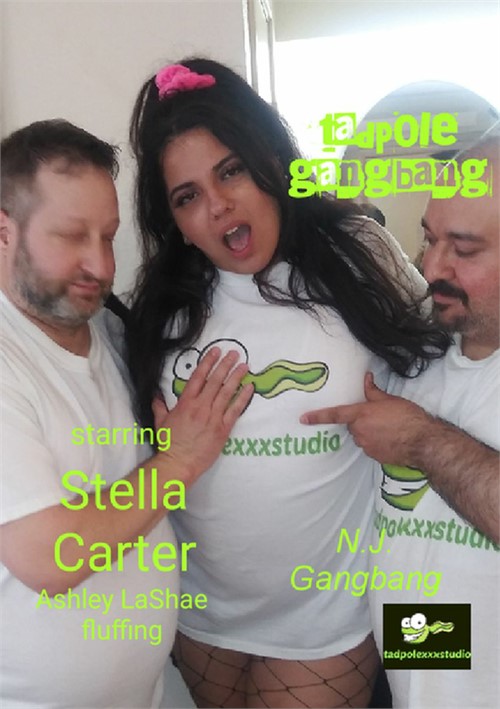 dan chamlee add stella carter porn photo